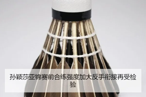 孙颖莎亚锦赛前合练强度加大反手衔接再受检验（kaiyun.comapp）