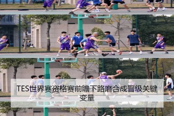TES世界赛资格赛前瞻下路磨合成晋级关键变量 | kaiyun.comapp